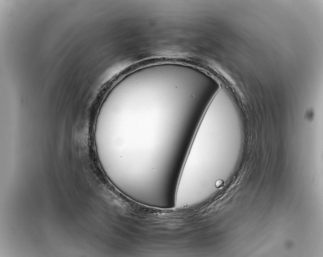 X0000099941315200805231012