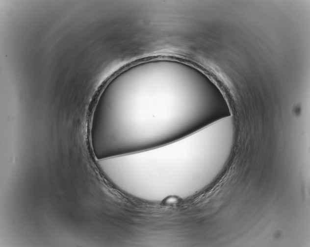 X0000099941316200805231012