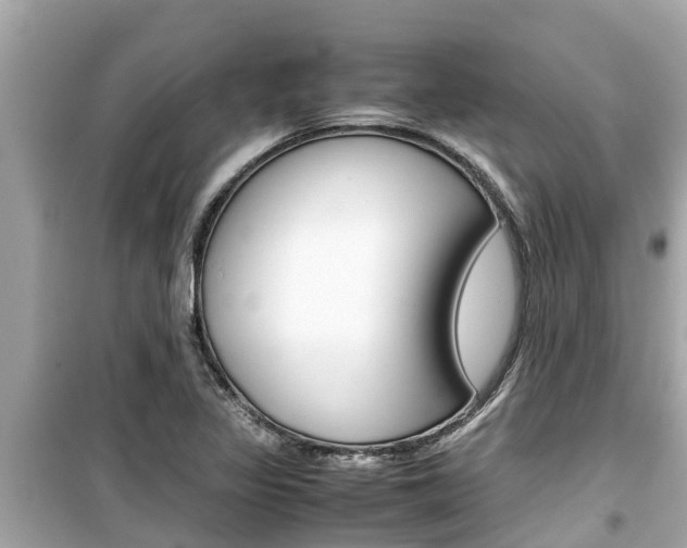 X0000099941317200805231012