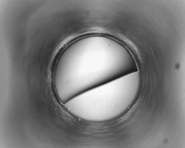 X0000099941318200805231012