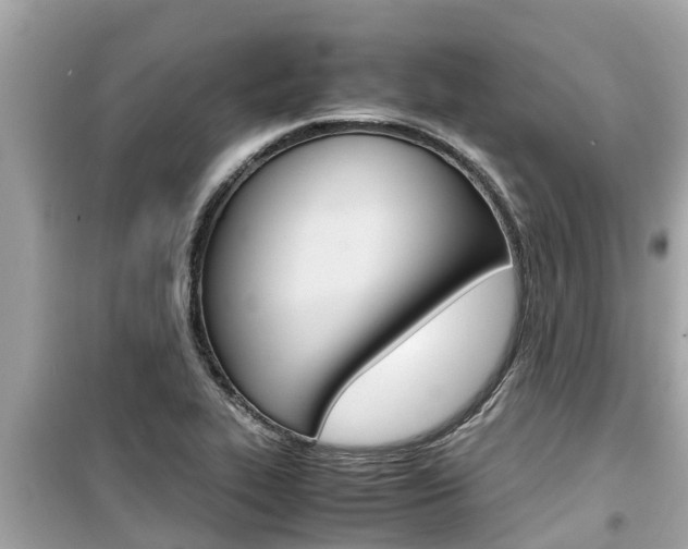 X0000099941319200805231012