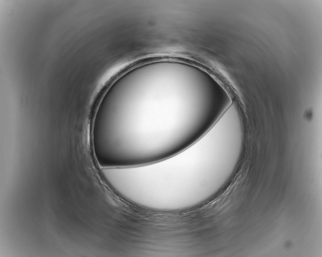 X0000099941320200805231012