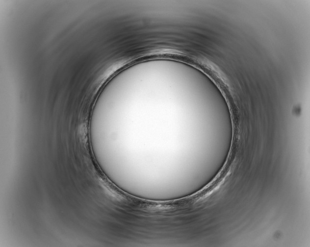 X0000099941321200805231012