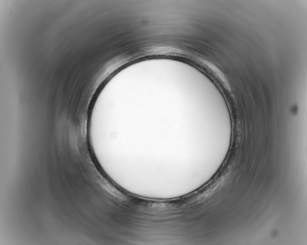 X0000099941322200805231012