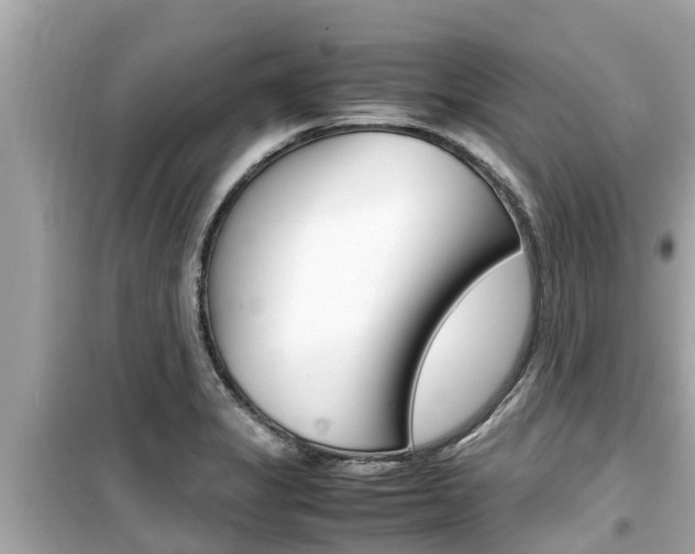 X0000099941325200805231012