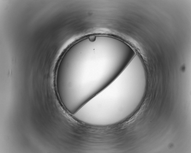X0000099941326200805231012