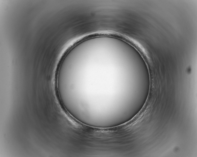 X0000099941327200805231012