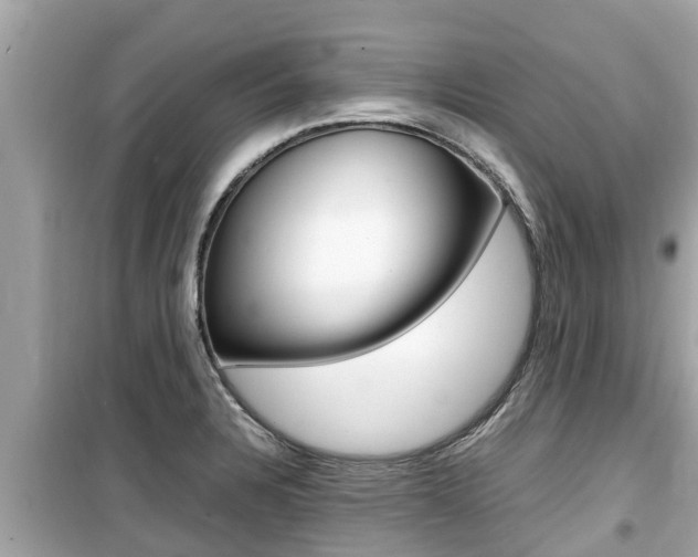 X0000099941328200805231012