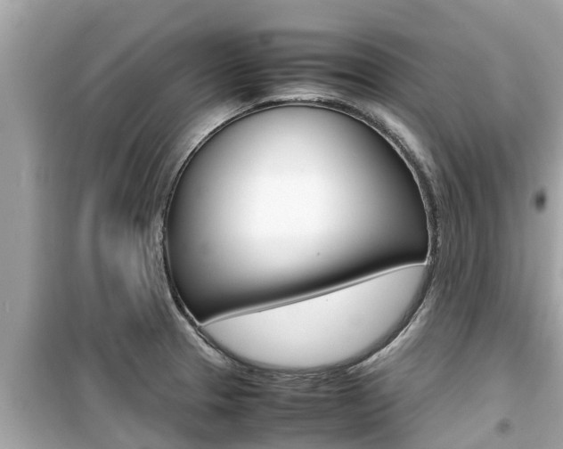 X0000099941329200805231012
