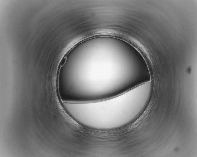 X0000099941330200805231012