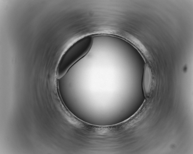 X0000099941332200805231012
