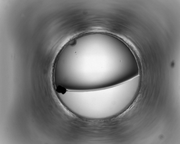 X0000099941333200805231012