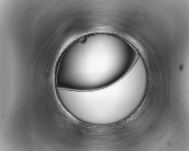 X0000099941334200805231012