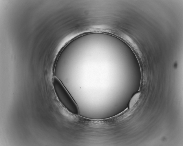 X0000099941336200805231012