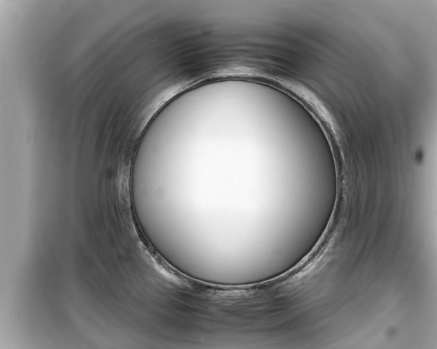 X0000099941337200805231012