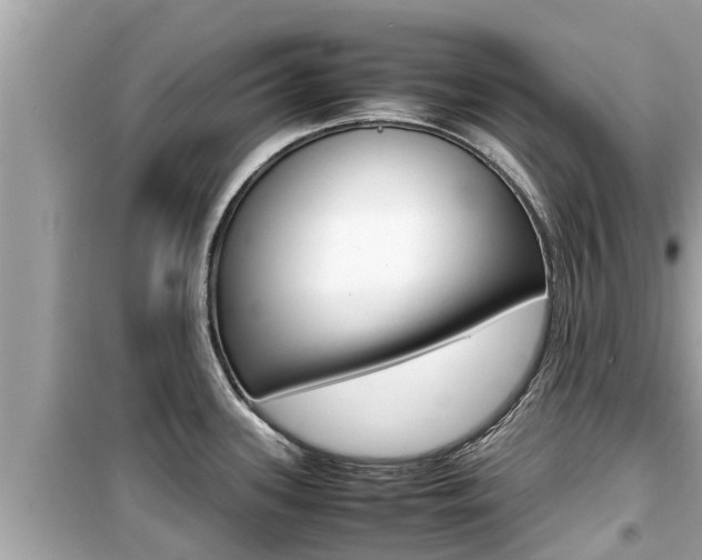 X0000099941339200805231012