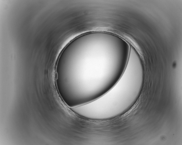 X0000099941340200805231012