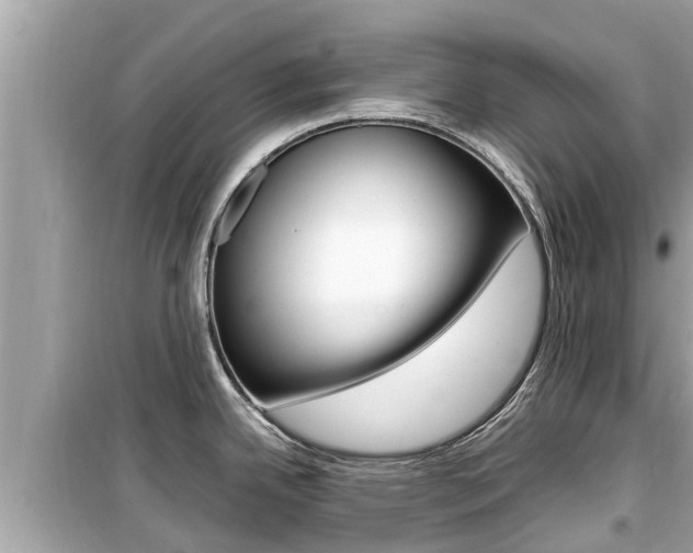 X0000099941342200805231012