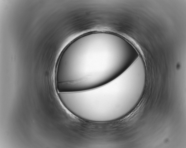 X0000099941343200805231013