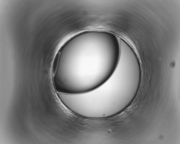 X0000099941344200805231013