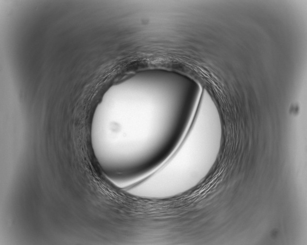 X0000099941345200805231012