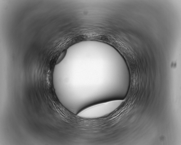 X0000099941346200805231012