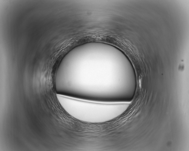 X0000099941347200805231012