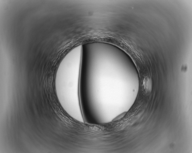 X0000099941348200805231012