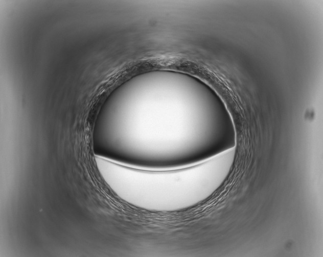 X0000099941349200805231012