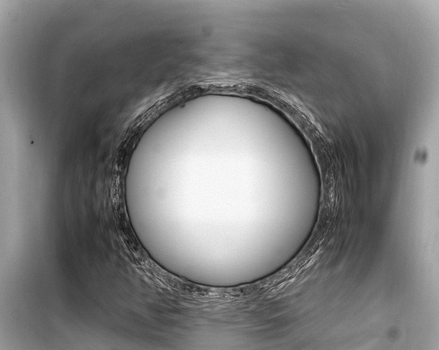 X0000099941350200805231012