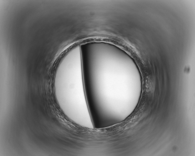 X0000099941352200805231012