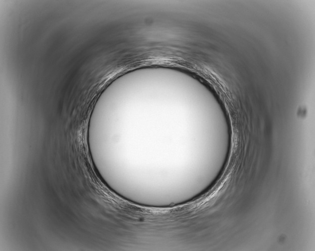 X0000099941353200805231012