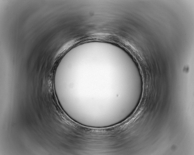 X0000099941354200805231012