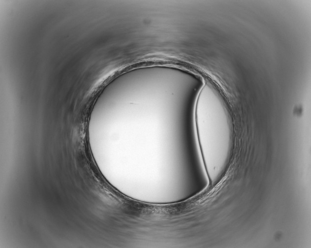 X0000099941355200805231012
