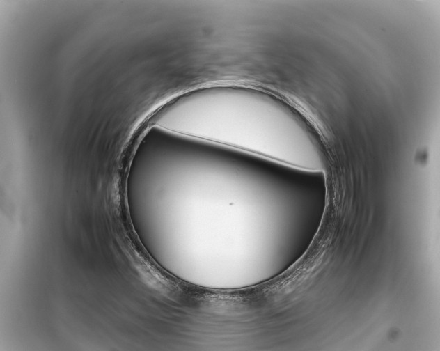 X0000099941356200805231012