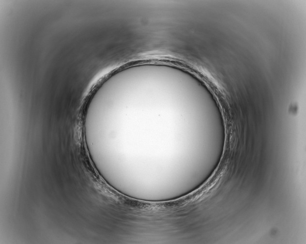 X0000099941358200805231012