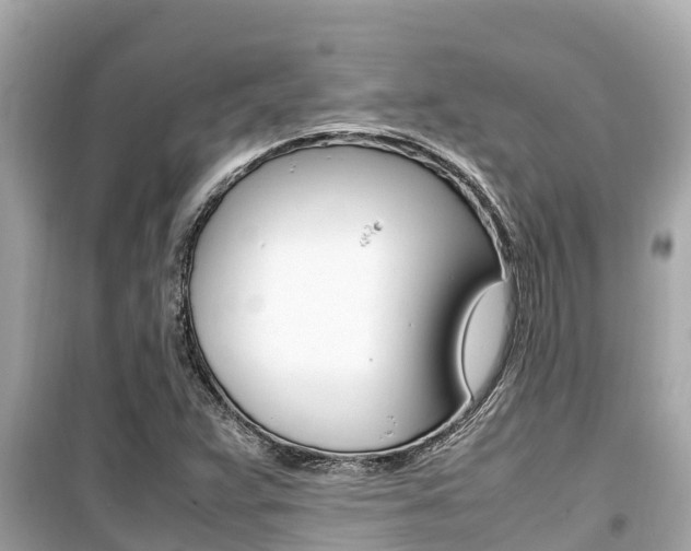X0000099941359200805231012