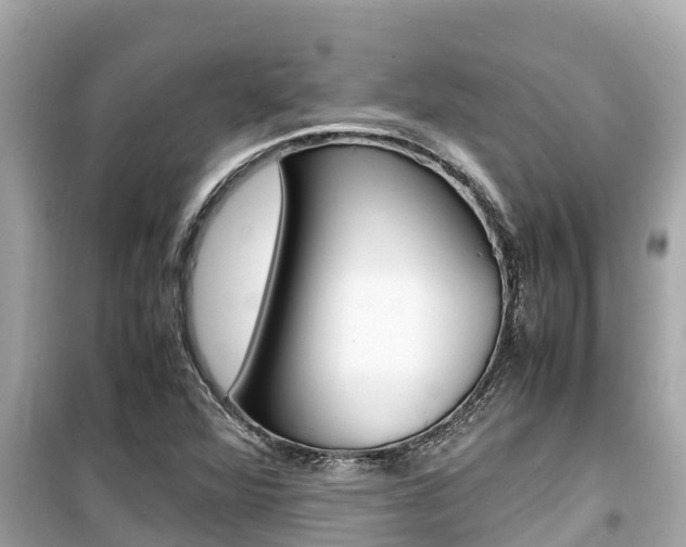 X0000099941360200805231012