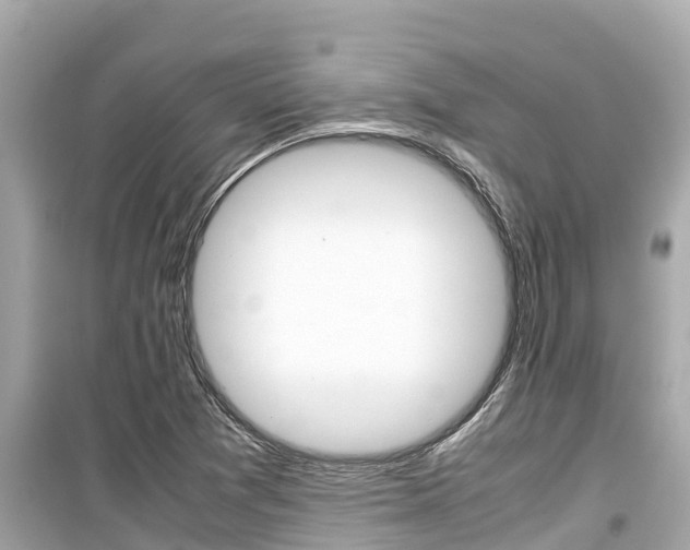 X0000099941361200805231012