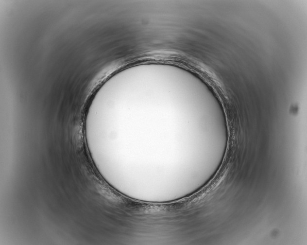 X0000099941362200805231011