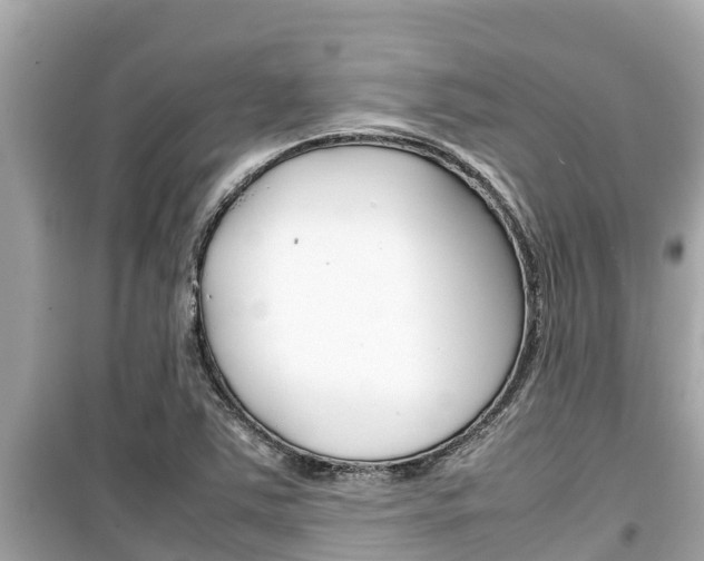 X0000099941363200805231011