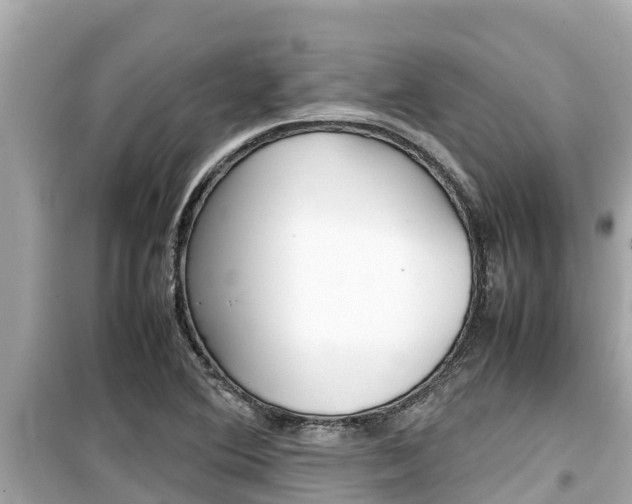 X0000099941364200805231011