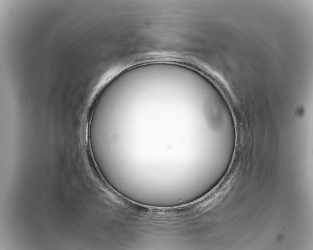 X0000099941365200805231011