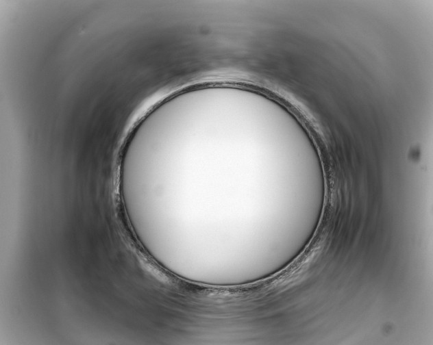 X0000099941366200805231011