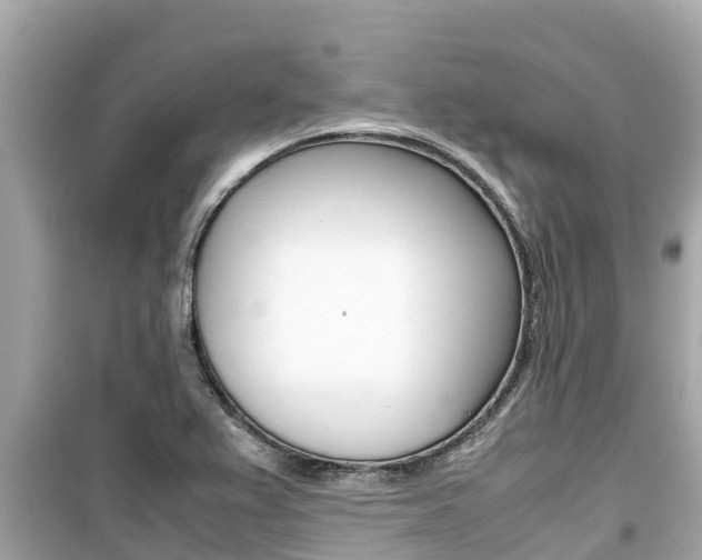 X0000099941367200805231011