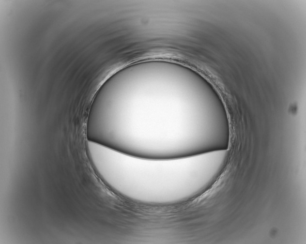 X0000099941369200805231011