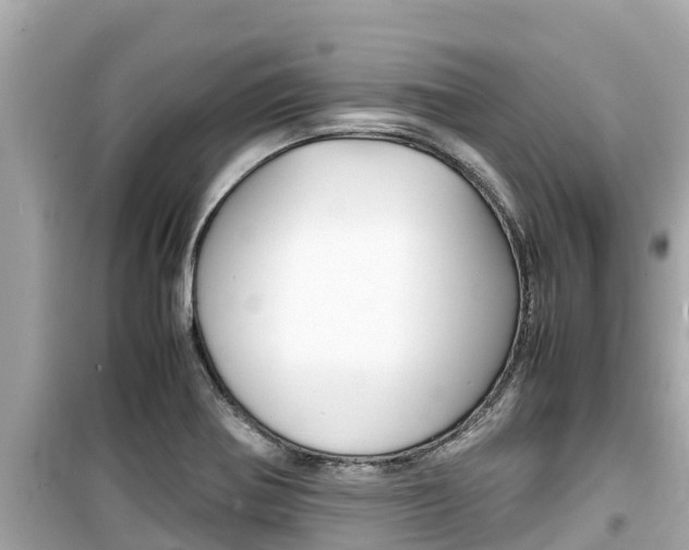 X0000099941370200805231011