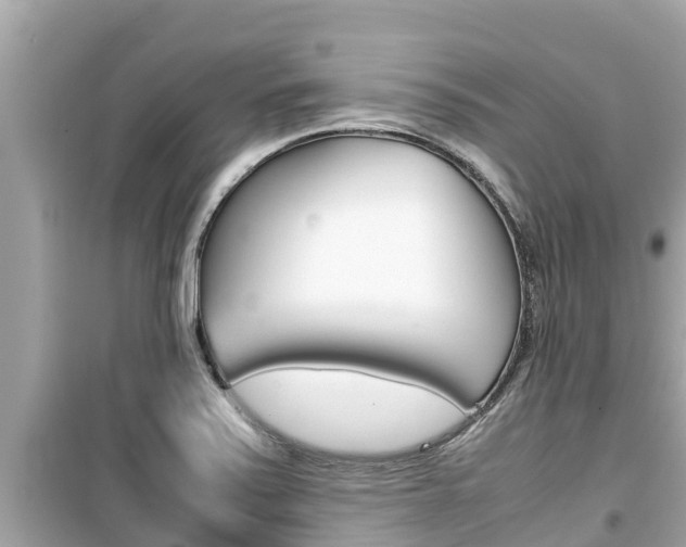 X0000099941371200805231011