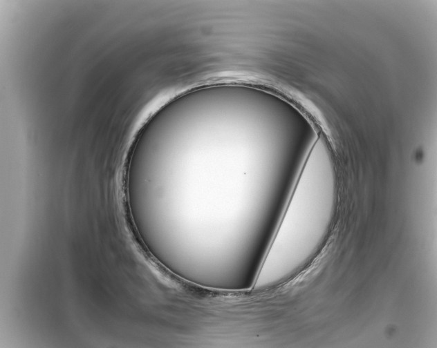 X0000099941373200805231011