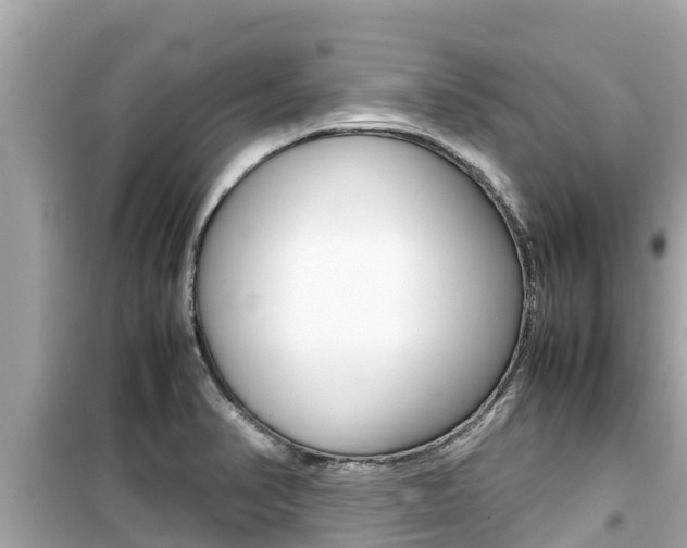 X0000099941374200805231011